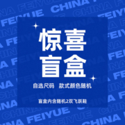 feiyue 飞跃 情侣帆布鞋百搭休闲鞋 京喜盲盒2双