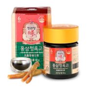 正官庄 高丽参珍膏 100g