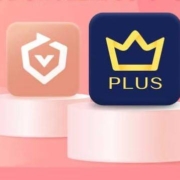 iQIYI 爱奇艺 白金会员年卡+京东PLUS会员年卡