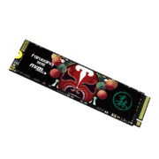 PLUS会员： FANXIANG 梵想 S500 NVMe M.2 固态硬盘 1TB