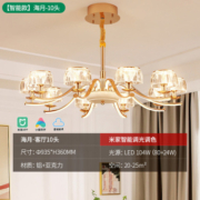 NVC Lighting 雷士照明 米家智能吊灯 海月丨10头