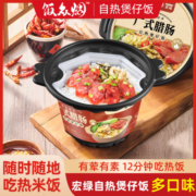 宏绿自热米饭煲仔饭懒人速食食品早餐午餐夜宵方便即食料理粥饭