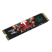 梵想（FANXIANG） SSD固态硬盘 M.2接口(NVMe协议)  S500系列 优质精选颗粒 S500Q 精选QLC颗粒 512GB