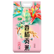 十月稻田 香稻贡米 东北大米 5kg 香米 粳米 十斤