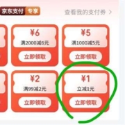 限用户：京东 满1.01-1元 支付券