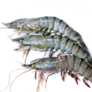 PLUS会员：瀚通 特大号黑虎虾 净虾350-400g（8只18-22cm）*2件