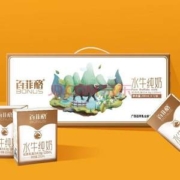 奶中珍品，百菲酪 4.0g乳蛋白 水牛纯奶 200mL*12盒