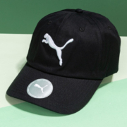 PUMA 彪马 中性款运动棒球帽 052919