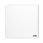 ABB 盈致系列 白色  单开双控