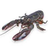 概率券、京喜小程序、需抢券：First Catch 加拿大波士顿龙虾 450g-570g*2只