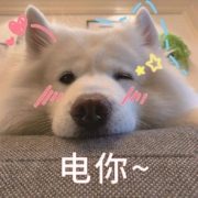 慢慢买用户调研招募，一起让慢慢买变更好吧