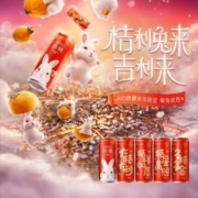 RIO 锐澳 微醺 新口味大桔大利预调鸡尾酒330mL*10罐+赠气泡水4罐