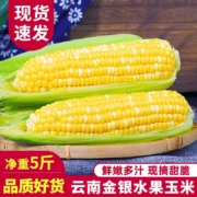 京东百亿补贴：中鲜生云南水果玉米 新鲜甜玉米可生吃 5斤装