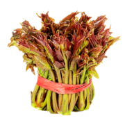 京东百亿补贴：卫青沙窝（顺丰）新鲜香椿芽头茬现摘2斤装（净重）