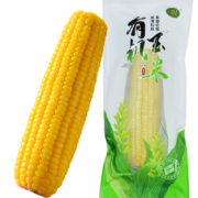 京喜特价App：珍谷诱惑 东北 有机黄糯玉米2kg(10支×200g)