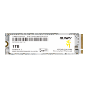 GLOWAY 光威 弈系列 M.2 NVMe 固态硬盘 1TB