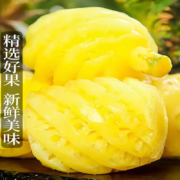 PLUS会员：保蓉生鲜水果俱乐部 海南金砖凤梨 带箱8-10斤