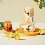 88VIP：隅田川 鲜萃咖啡液 桂花风味10g*7颗*7件
