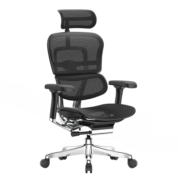 保友办公家具（Ergonor） 金豪e 2代/ew 2代 人体工学椅 电脑椅子办公椅电竞椅老板椅座椅 黑色(Q4.0)美国网 精英版