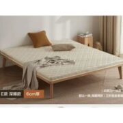 BINLAND 冰兰 BL888 天然椰棕床垫 500mm*1000mm