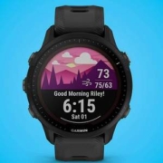 支持中文，GARMIN 佳明 Forerunner 955 铁人三项运动手表 太阳能版