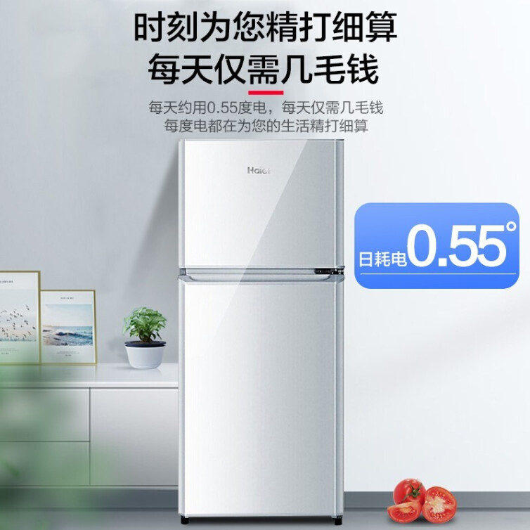 海尔（Haier）118升小型两门迷你小冰箱 节能省电冷藏冷冻双门家用宿舍租房冰箱办公室节能环保 BCD-118TMPA