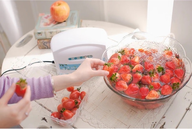 蔬菜水果清洗机怎么选择？蔬菜水果清洗机选购指南