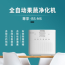 冰尊（BENSHION）等离子果蔬清洗机M6家用洗菜机除菌99%全自动食材净化机解毒机消毒机净化器 机器标配