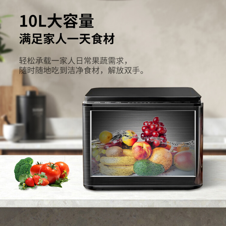 惠而浦（Whirlpool）10L 三重净化洗菜机家用果蔬机清洗机 食材超声波净化机 全自动净食机 WVS-CS981H