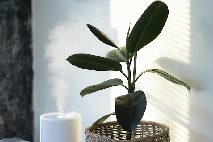 如何选择加湿器？加湿器选购指南