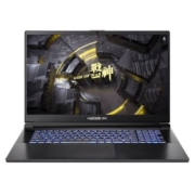 拼多多百亿补贴：Hasee 神舟 G8R9 17.3英寸游戏本（i9-13900H、16GB、1TB、RTX 4060）