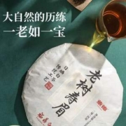 国家地理标志产品，董德 福鼎老白茶9年陈枣香寿眉饼2014年 300g