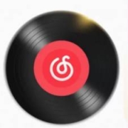 NetEase CloudMusic 网易云音乐 黑胶VIP会员 年卡