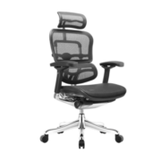 保友办公家具（Ergonor） 金豪e精英版人体工学椅 电脑椅子 护脊办公椅 电竞游戏椅 灰框-银白色（美国网）