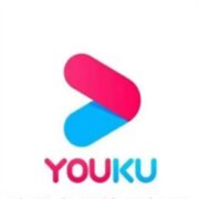 再降价：YOUKU 优酷 视频会员年卡 12个月