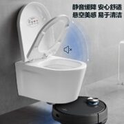 ARROW 箭牌卫浴 壁挂式马桶座便器【全套标准款】坐便器+隐藏水箱+盖板【含安装】
