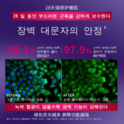 Disren玻色因多肽抗皱深补水睡眠面膜提拉紧致淡化细纹提亮肤色8
