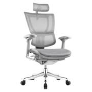 保友办公家具（Ergonor） 优旗舰 高端人体工学椅 电脑椅家用 办公椅游戏电竞椅老板椅 灰框-银白色（美国网）
