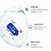 帆王75%度酒精消毒湿巾便携式除菌卫生擦手湿纸巾随身装10抽*10包