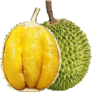 需PLUS会员全品券：静益乐源 猫山王榴莲 4-5斤