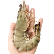 瀚通大虾 黑虎虾活冻虾 超大生鲜虾类 海鲜水产 净虾350-400g 大号（12-14只）15-18cm