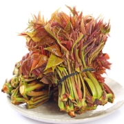 头茬香椿芽 新鲜红油香椿 2斤装