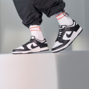 耐克（NIKE）男子运动鞋复古板鞋 DUNK LOW RETRO DD1391-100 41