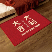 新人专享：BUDISI 布迪思 入户门地垫 40*60cm