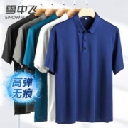 Snow Flying 雪中飞 男士商务休闲Polo衫 多色