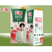 汇源 桃汁（尝鲜装）1L*2盒