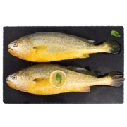 概率券：海名威 鲜冻黄花鱼 2条 共700g*12件