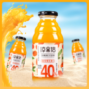 淳果倍  吕梁沙棘汁 原味 300mL*8瓶
