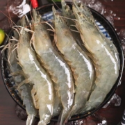 素盈坊 盐冻新鲜超大虾厄瓜多尔白虾1400g