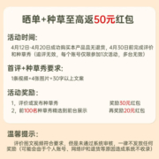 美的（Midea）电饭煲 家用电饭锅多功能柴火饭大容量聚能釜金属机身大火力米饭锅 4L容量MB-RE416